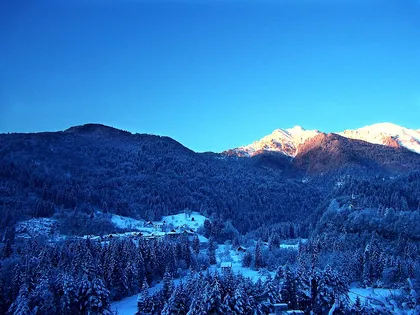 Agrons in winter