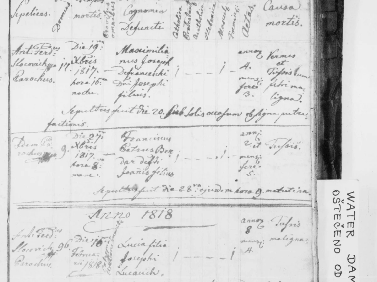 A Maximilianus Defranceschi who died in 1817, eleven years before the one this archive knows