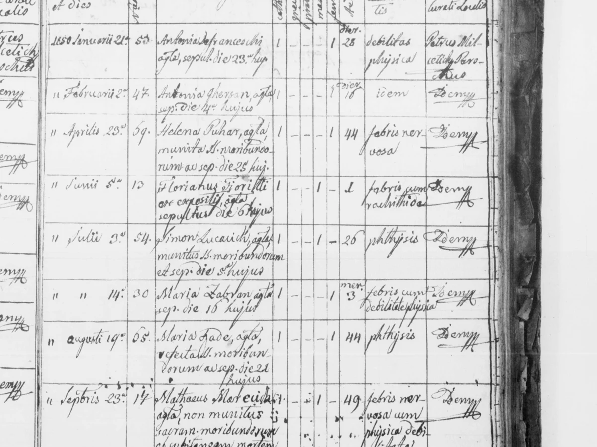 1850, page 88 — two Defranceschi, twenty-eight days and eighty-eight years