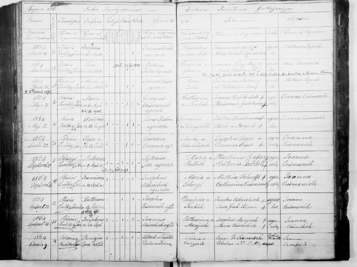 «Remigius Cæsar», son of a doctor of medicine — Gologorica, 9 October 1864