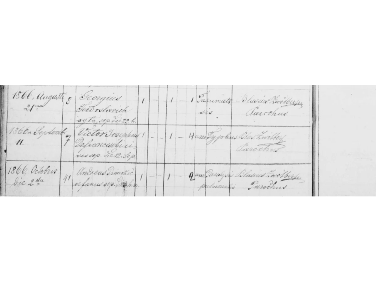 «Victor Josephus Defranceschi, cives · 4 ann · Typhus»