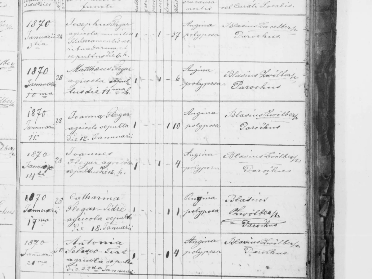 January 1870 — five from one house in two weeks, «angina polyposa»