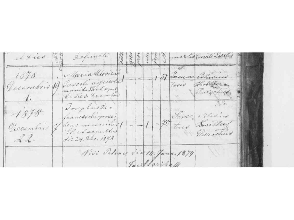 «Josephus Defranceschi, possidens» — 22 December 1878, and the second decade corrected in one day