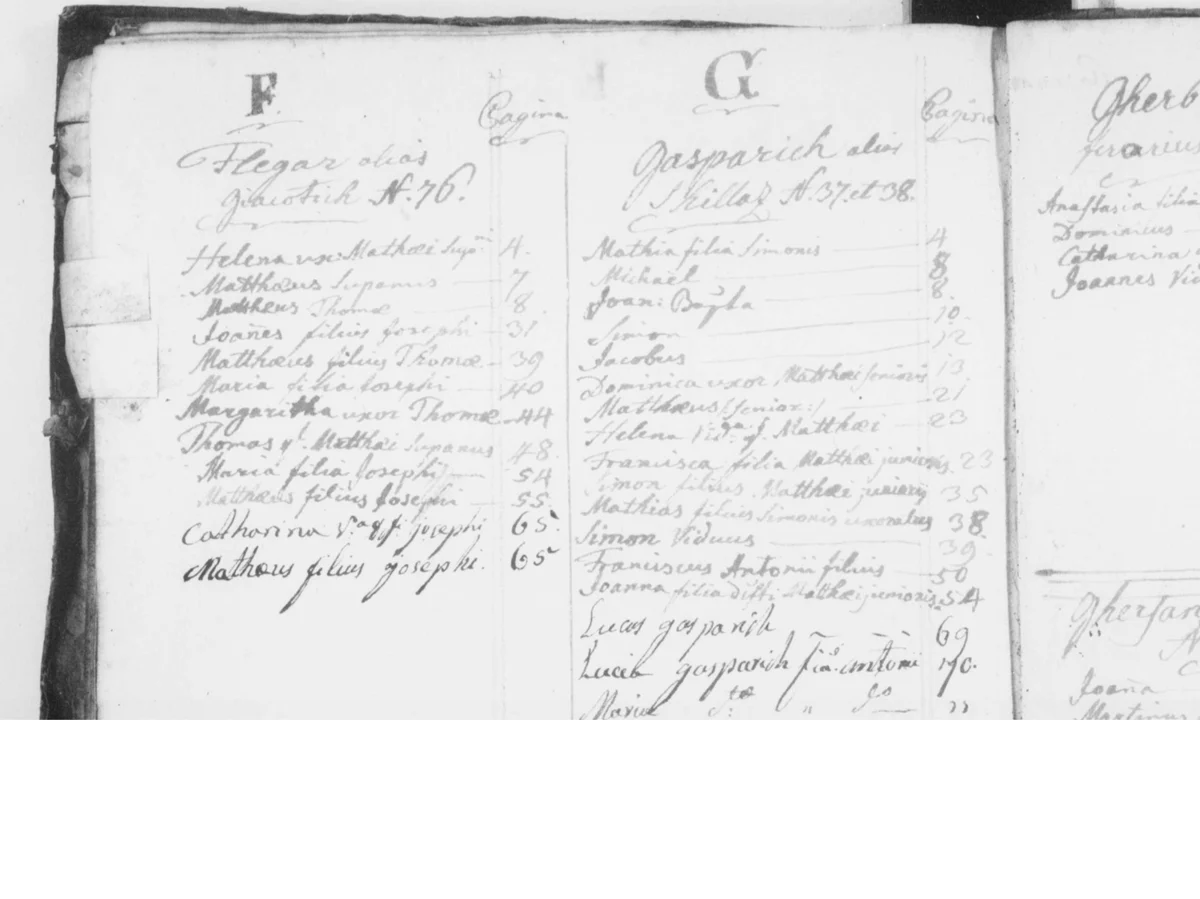 The letter G in the death book's index — and no Grach in it