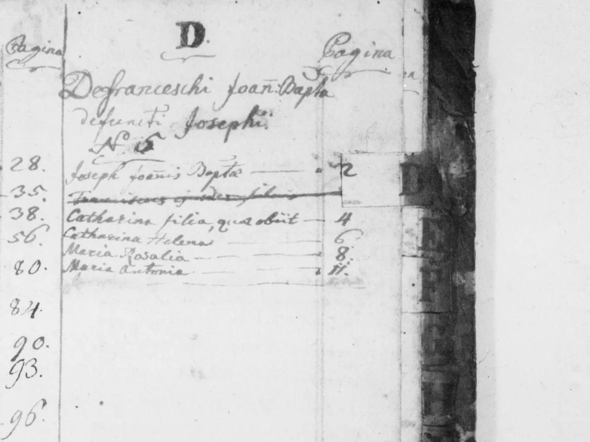 The book’s own index names the two Defranceschi households, and the byname