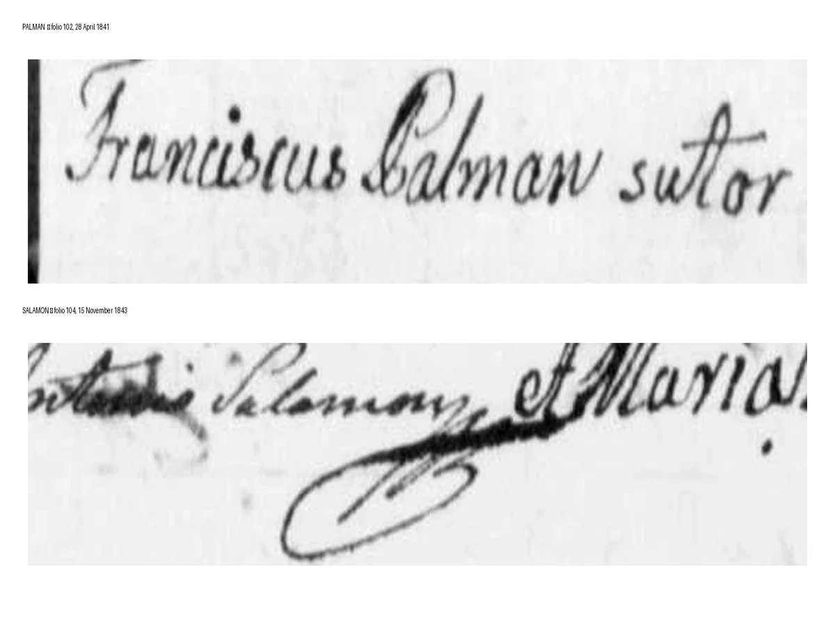 The test: Petrus Milcetich writing PALMAN and writing SALAMON, at one magnification