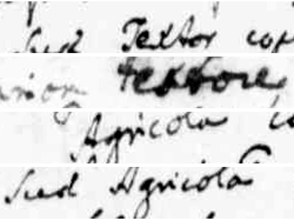 «Textor» against the same scribe's «textore» and his two «Agricola»