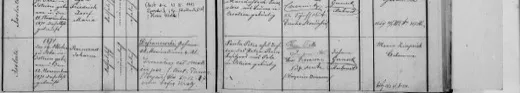 Raimund Johann Defranceschi baptised, 12 November 1871 — father Johann of the navy — later married Sofia, 21 December 1927