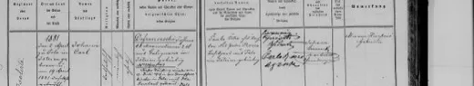 Johann Carl Defranceschi baptised, 19 April 1881 — father Johann of Galignana — later married Ida Revelant at the Pola cathedral, 10 July 1911