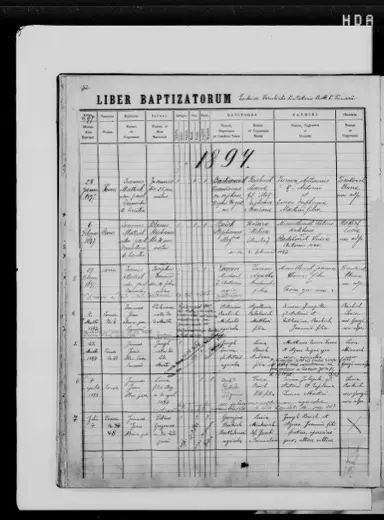 «Buich Stephanus illeg.mus» — 6 February 1897