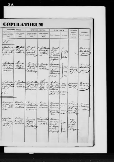 Catharina Lazar marries Joannes Zuccon — Lucia still living — 2 July 1905