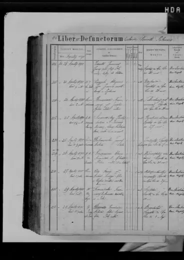 A newborn Defranceschi dies in the Pula hospital — 25 April 1890